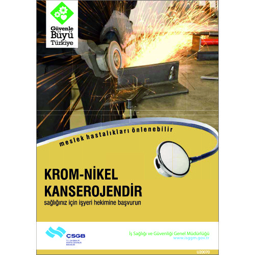 Krom-Nikel Kanserojendir Levhası 25x35 cm